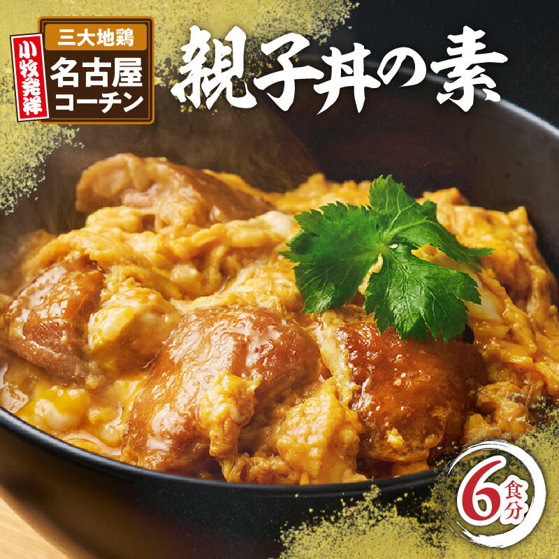 親子丼の素 6食 お店の味を再現 名古屋コーチン コーチン肉付き 親子丼 もも肉 地鶏 日本三大地鶏 発祥の地 小牧 国産 鶏 鶏肉 大ぶり コーチン 簡単調理 コク 旨み 太田屋 お取り寄せ お取り寄せグルメ 愛知県 小牧市 送料無料