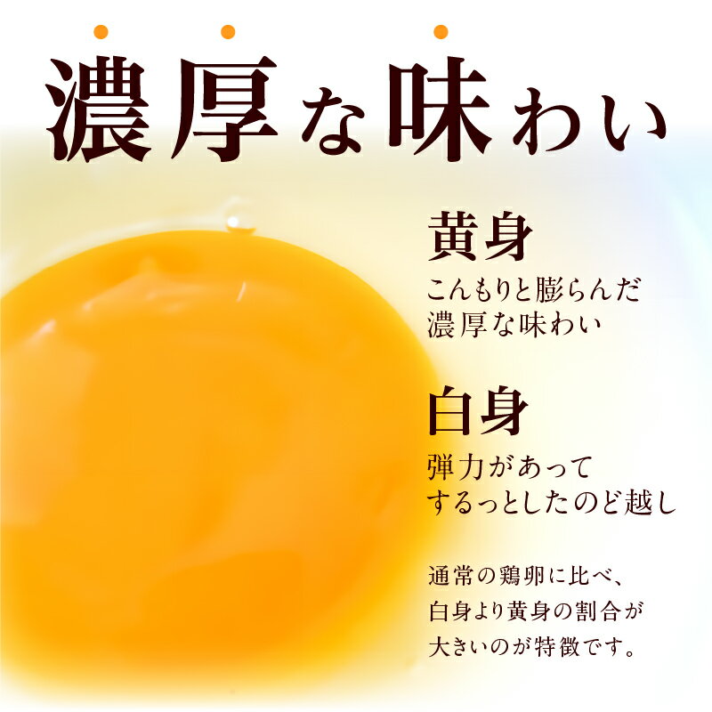 【ふるさと納税】定期便 3ヶ月 卵 名古屋コーチン 仙寿卵 30個 入り × 3回 計 90個 黄身 濃厚 朝食 卵料理 卵かけご飯 卵焼き 目玉焼き 河瀬養鶏 地鶏 お取り寄せ お取り寄せグルメ 愛知県 小牧市 送料無料