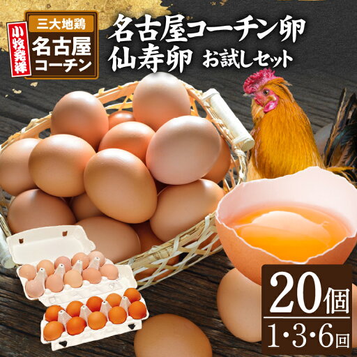 【ふるさと納税】 名古屋コーチン卵・仙寿卵お試しセット(各10個入り) 1回 / 3回 / 6回 【配送回数が選べる】 単品 定期便 国産 仙寿卵 河瀬養鶏 地鶏 日本三大地鶏 鶏卵 新鮮 産みたて 濃厚 朝食 卵かけご飯 卵焼き 目玉焼き ゆでたまご 卵料理 愛知県 小牧市 食品 【ふるさと納税】 名古屋コーチン卵・仙寿卵お試しセット(各10個入り) 1回 / 3回 / 6回 【配送回数が選べる】 単品 定期便 国産 仙寿卵 河瀬養鶏 地鶏 日本三大地鶏 鶏卵 新鮮 産みたて 濃厚 朝食 卵かけご飯 卵焼き 目玉焼き ゆでたまご 卵料理 愛知県 小牧市 食品