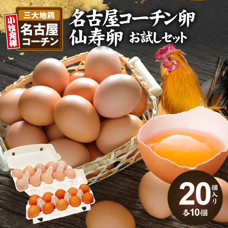 【ふるさと納税】 名古屋コーチン卵・仙寿卵お試しセット(各1