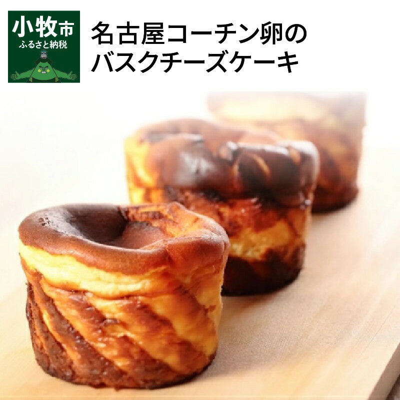 【ふるさと納税】ケーキ バスクチーズケーキ 250g 3個 スイーツ チーズケーキ 名古屋コーチン卵 100%使用 しっとり 濃厚 香ばしい ほろ苦い デザート 洋菓子 お菓子 菓子 愛知県 小牧市 お取り寄せ ギフト プレゼント 冷凍 送料無料