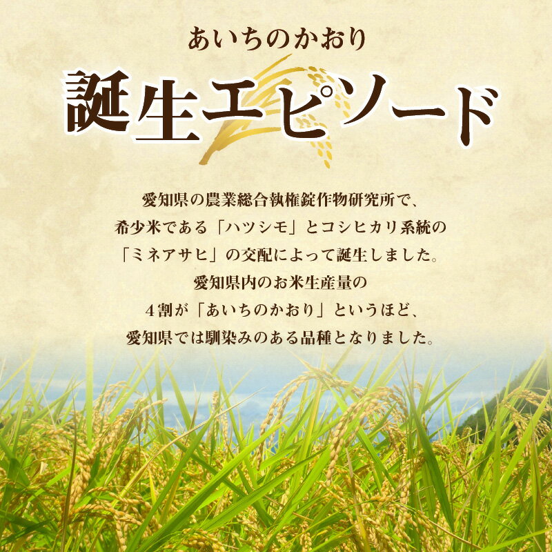 【ふるさと納税】定期便 3ヶ月 米 あいちのかおり 10kg × 3回 計30kg 精米 粒が大きい ふくよかなおいしさ 冷めてもおいしい つや ねばり 弁当 おにぎり 食品 食べ物 お取り寄せグルメ 愛知県 小牧市 送料無料 3