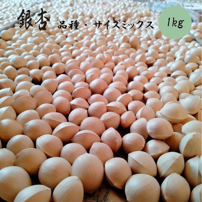 【ふるさと納税】愛知県産殻付き生銀杏　品種・サイズミックス　1kg