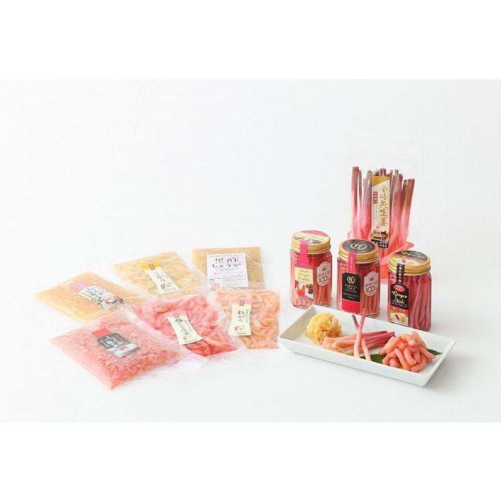 【ふるさと納税】金時矢生姜彩りセット（70g×10種類） | 食品 加工食品 人気 おすすめ 送料無料