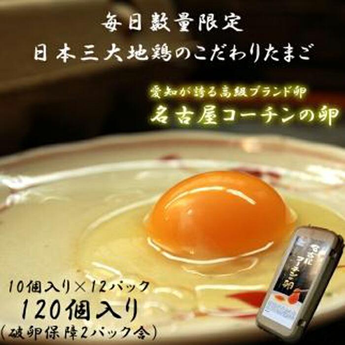 【ふるさと納税】☆名古屋コーチンの卵12パック(破卵保証2パック含) | 愛知県 愛知 稲沢市 楽天ふるさと 納税 支援品 故郷納税 らくてんふるさと納税 お取り寄せ 取り寄せ たまご 卵 特産品 ご当地 名古屋コーチン 名古屋 食品 食べ物 お礼の品 タマゴ グルメ