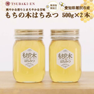 【ふるさと納税】☆稲沢のモチの木はちみつ【500g×2本】 | 愛知県 愛知 稲沢市 楽天ふるさと 納税 支援品 支援 故郷納税 らくてんふるさと納税 お取り寄せ 取り寄せ はちみつ ハチミツ 蜂蜜 国産はちみつ 国産蜂蜜 国産ハチミツ ご当地 特産品 国産 ハニー 返礼品 返礼