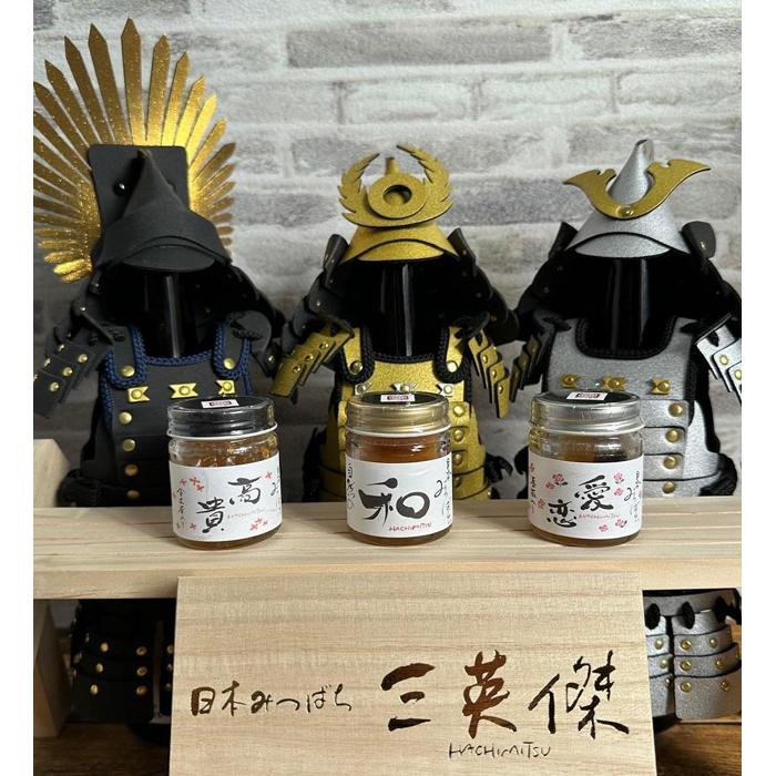 【ふるさと納税】日本みつばち はちみつ 三英傑(30g×3本) | ハニー 蜂蜜 食品 人気 おすすめ 送料無料