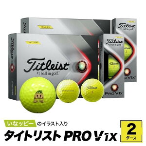 【ふるさと納税】【2021年モデル】いなッピーオンネーム　タイトリストPRO V1X　2ダース（カラー：イエロー） | 愛知県 愛知 稲沢市 楽天ふるさと 納税 故郷納税 ゴルフ ボール ゴルフ用品 ダースボール ダース ゴルフボール ゴルフグッズ スポーツ用品 ごるふ まとめ買い