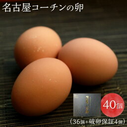 【ふるさと納税】☆名古屋コーチンの卵40個入り（36個+破卵保証4個） | 愛知県 愛知 稲沢市 楽天ふるさと 納税 支援品 故郷納税 らくてんふるさと納税 お取り寄せ 取り寄せ たまご 卵 特産品 ご当地 名古屋コーチン 名古屋 食品 食べ物 お礼の品 タマゴ グルメ