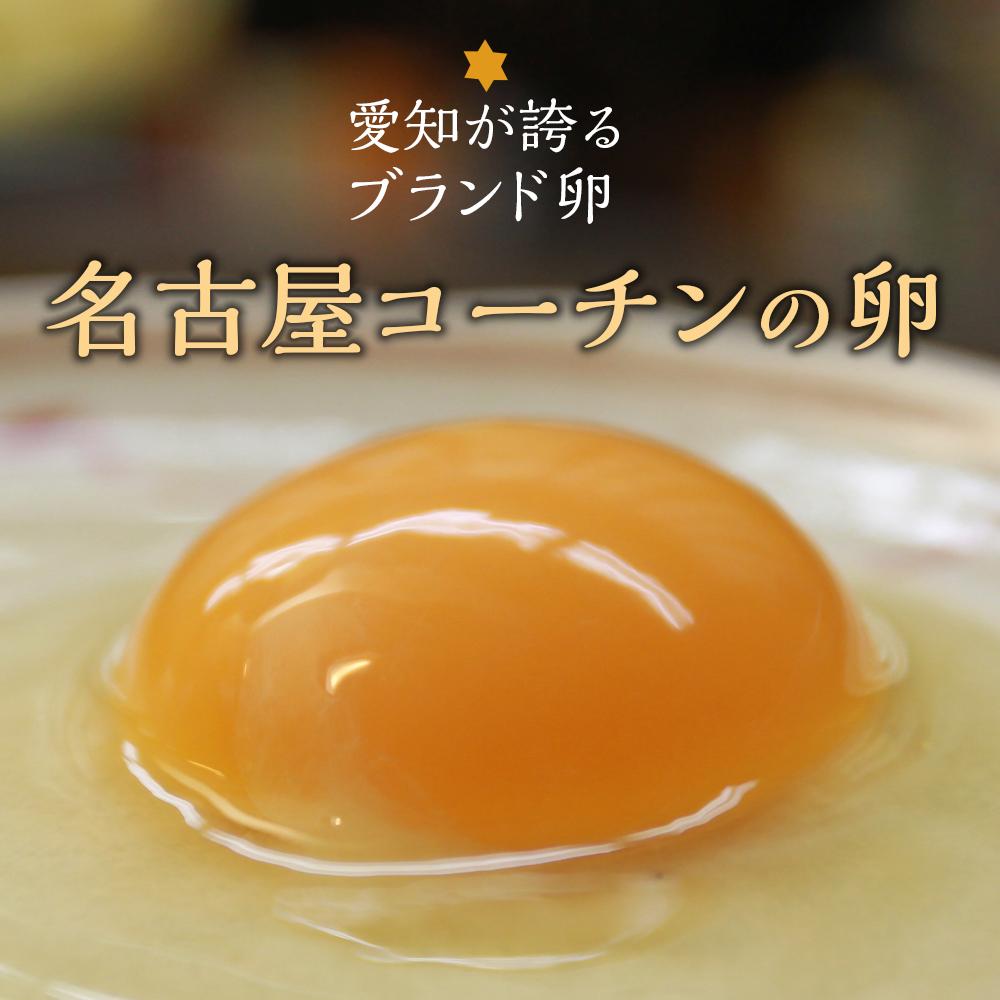 【ふるさと納税】☆名古屋コーチンの卵40個入り（36個+破卵保証4個） | 愛知県 愛知 稲沢市 楽天ふるさと 納税 支援品 故郷納税 らくてんふるさと納税 お取り寄せ 取り寄せ たまご 卵 特産品 ご当地 名古屋コーチン 名古屋 食品 食べ物 お礼の品 タマゴ グルメ