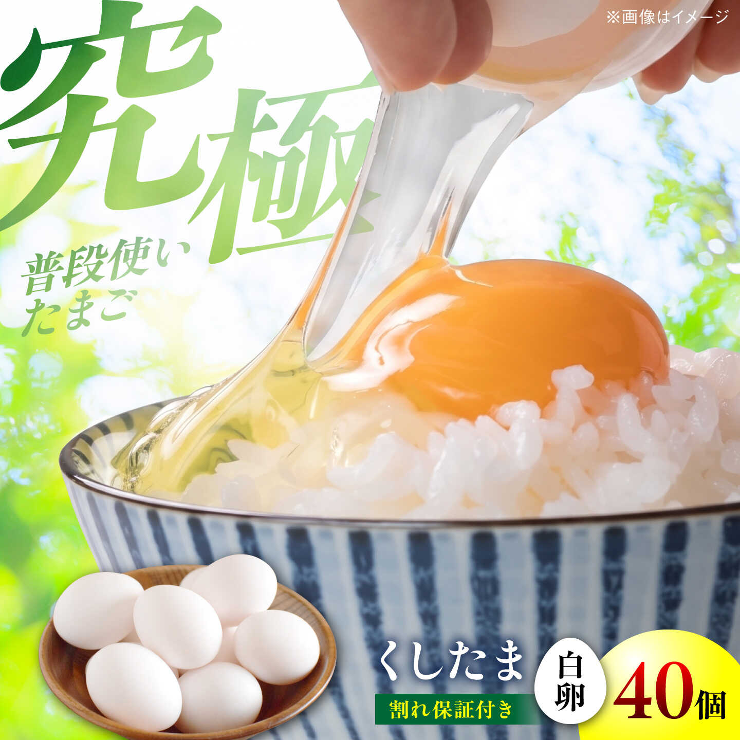 くしたま白卵 40個(36個+割れ保証4個)/ 卵 たまご 鶏卵 白卵 / 稲沢市 / 櫛田養鶏場[BMAY005]