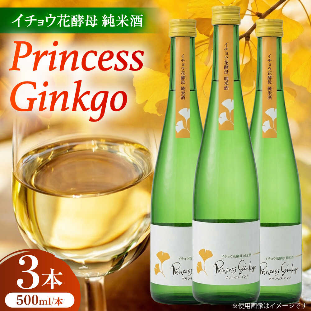 イチョウ花酵母純米酒プリンセスギンコ(500mL)3本セット / 純米酒 お酒 日本酒 / 稲沢市 / 合同会社祖父江商工販売[BMBC010]