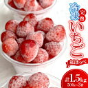 【ふるさと納税】厳選 完熟冷凍いちご 愛知県新城産紅ほっぺ【500g×3袋】【配送不可地域:離島】【1548627】