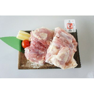 愛知県新城市の画像3