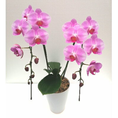 愛知県東海市の画像2