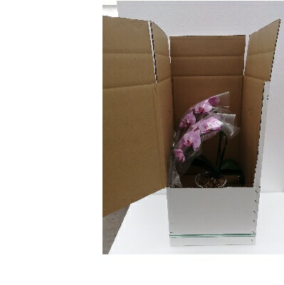 愛知県東海市の画像3