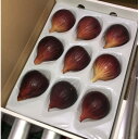 【ふるさと納税】愛知県 東海市産 いちじく 1箱 約1kg(9~12玉入り)【配送不可地域:離島・北海道・沖縄県】【1649322】