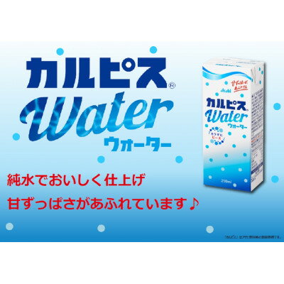 【ふるさと納税】【毎月定期便】アサヒ飲料 「カルピスウォーター(R)」 紙パックスリム 250ml×24本全3回【4070340】