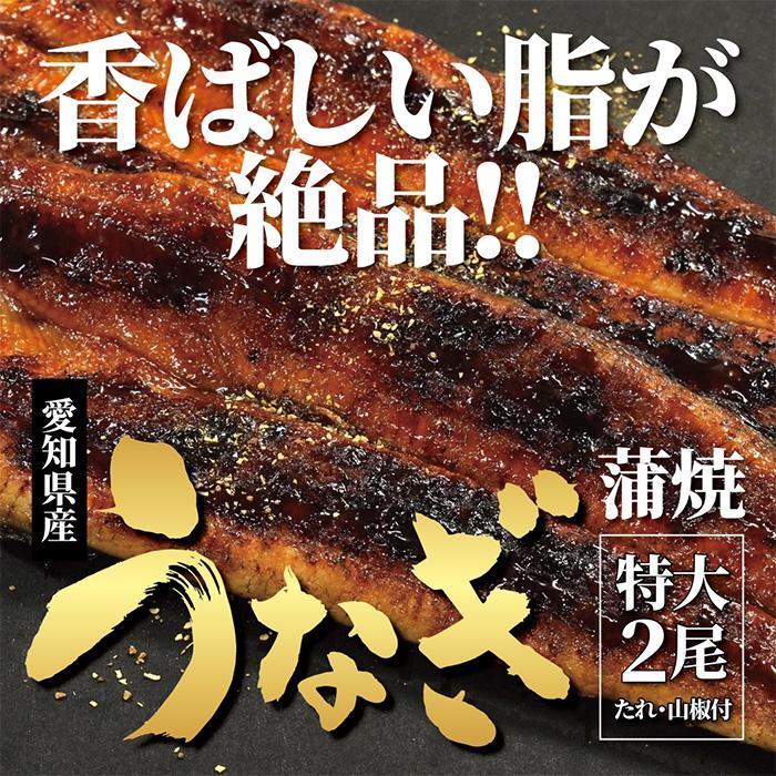 [着日指定必須][特大・国産うなぎ・蒲焼2尾]養鰻場を知るこだわり大将の絶品うなぎ