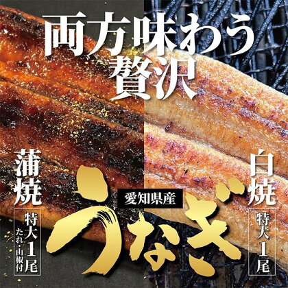 ＜着日指定必須＞【特大・国産うなぎ・蒲焼1尾＋白焼1尾】養鰻場を知るこだわり大将の絶品うなぎ