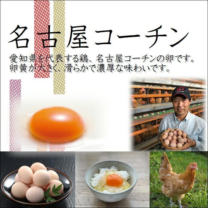 1位! 口コミ数「27件」評価「4.74」純系 名古屋コーチン 卵 30個 たまご 玉子 日本三大地鶏 コロナ 緊急 支援 鶏 地鶏 料理 おうち時間 グルメ お取り寄せ ギフト 贈･･･ 