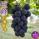 【ふるさと納税】【先行予約】【ご家庭用・数量限定】 巨峰(種あり)約2kg 〔2025年8月上旬より順次発送〕 | 愛知県 大府市 名産品 ぶどう 糖度高く 濃厚 人気 おすすめ 家庭用 先行予約 数量限定 期間限定 果物 フルーツ 冷蔵 楽天ふるさと納税 【8月上旬より順次発送】