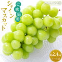 【ふるさと納税】【先行予約】【ご家庭用・数量限定】 シャインマスカット 約2.4kg 〔2025年8月中旬より順次発送〕 | ぶどう フルーツ 果物 くだもの 食品 人気 おすすめ 送料無料