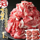 【ふるさと納税】【数量限定・増量中】大府市特産黒毛和牛「下村牛」切り落とし 1.0kg | 肉 お肉 黒毛和牛 牛肉 小分け 個包装 詰め合わせ セット お取り...