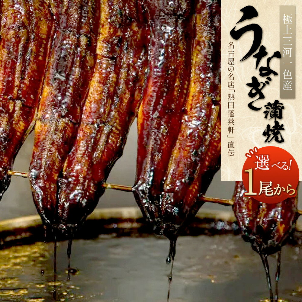 【ふるさと納税】【極上三河一色産】うなぎ蒲焼 （名古屋の名店「熱田蓬莱軒」 直伝） | 鰻 国産 蒲焼き かばやき ギフト グルメ 魚 さかな お取り寄せ セット 詰合せ プレゼント 愛知県 大府市のサムネイル