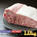 【ふるさと納税】期間限定 数量限定 大府 特選 サーロイン 塊肉 1kg | 肉 牛肉 お肉 にく バーベキュー キャンプ パーティ アウトドア 黒毛和牛 冷凍 お取り寄せ グルメ 人気 おすすめ 事業者 生産者 支援 愛知県 大府市･･･