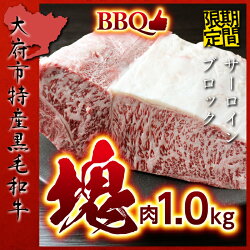 【ふるさと納税】期間限定 数量限定 大府 特選 サーロイン 塊肉 1kg | 肉 牛肉 お肉 にく バーベキュー キャンプ パーティ アウトドア 黒毛和牛 冷凍 お取り寄せ グルメ 人気 おすすめ 事業者 生産者 支援 愛知県 大府市･･･ 画像1