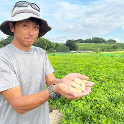 【ふるさと納税】残りわずか！ 生 ジャンボ 落花生 2kg 朝採り 奇跡 たかや1号 | 朝採れ 期間限定 数量限定 生産者 直送 らっかせい あて おつまみ 酒 お酒 さけ ビール 日本酒 焼酎 ワイン 晩酌 お取り寄せ グルメ 美味しい 人気 おすすめ 愛知県 大府市･･･ 画像1