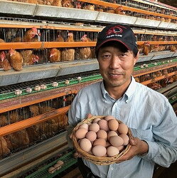 【ふるさと納税】卵かけご飯 セット 卵 20個 たまご 玉子 名古屋コーチン 醤油 1本 コロナ 支援 お取り寄せ グルメ 食品 愛知県 大府市 画像2