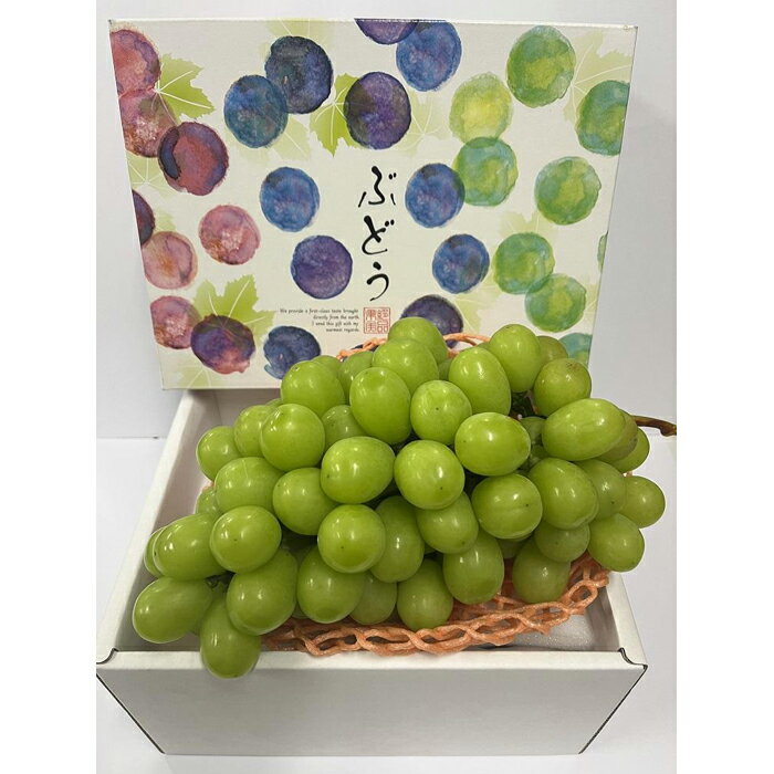 【ふるさと納税】【先行予約】 ［お届けは8月中旬予定］ 大府市農園直送 完熟シャインマスカット 家庭用 4～5房（合計2Kg）