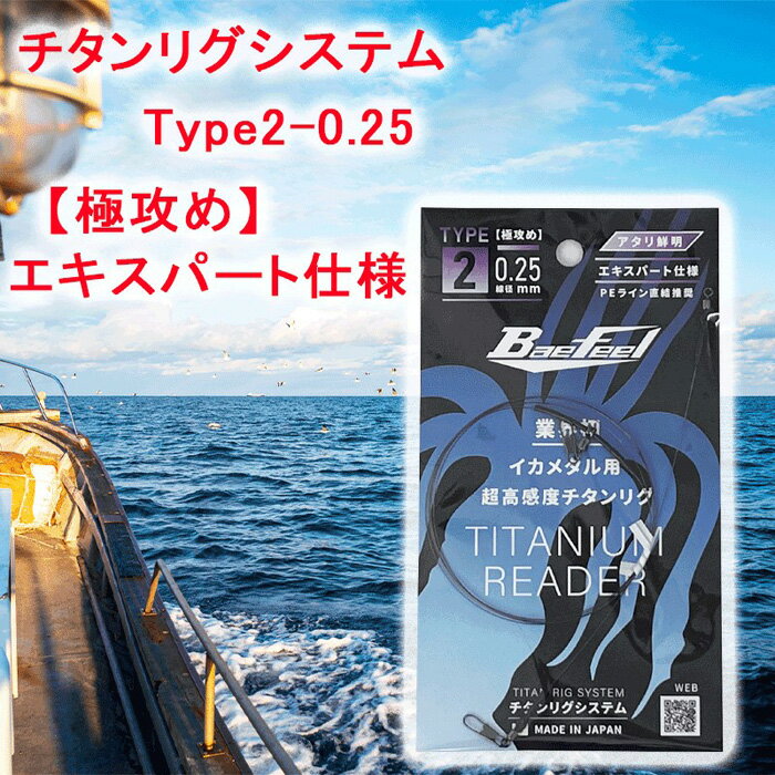 チタンリグシステム　Type2-0.25　【極攻め】エキスパート仕様＜吉見製作所＞