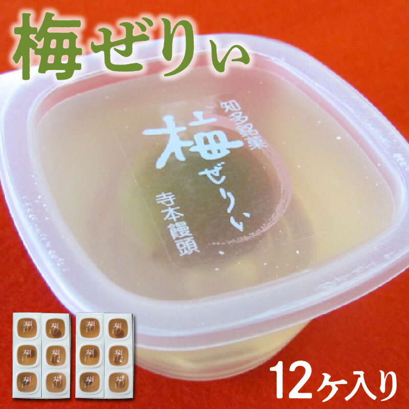 知多銘菓 梅ぜりぃ 12ヶ入 / 和風ゼリー うめ ウメ 梅の菓子 土産 愛知県 特産品 送料無料