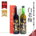 【ふるさと納税】 知多の梅酒 白老梅 純米吟醸 ・ 純米大吟醸 【 セット 】 お酒 リキュール 佐布里梅 梅酒 果実酒 澤田酒造 特産品 贈り物 飲み比べ 晩...