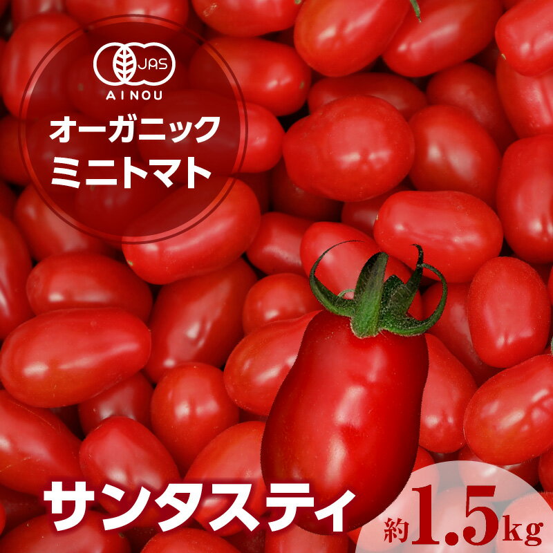 【ふるさと納税】オーガニックミニトマト サンタスティ【約1.5kg】 高糖度 面白い形 珍しい ミニトマト トマト プチトマト JAS オーガニック サンタスティ 野菜 農作物 ヘタなし やみつき 有機野菜 おやつ 縦長 食感 特産品 愛知県 送料無料