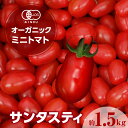 【ふるさと納税】オーガニックミニトマト サンタスティ【約1.5kg】 高糖度 有機ミニトマト 面白い形 珍しい ミニトマト トマト プチトマト JAS 野菜 農...