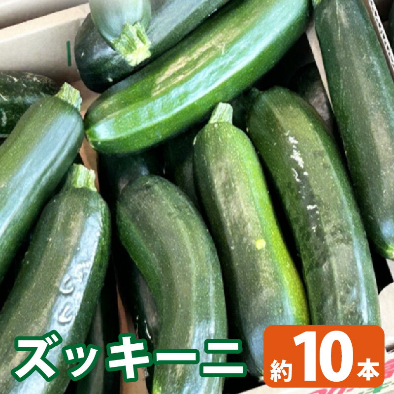 ズッキーニ/ 野菜 やさい 果肉 ウリ科 栄養 送料無料 愛知県 特産品