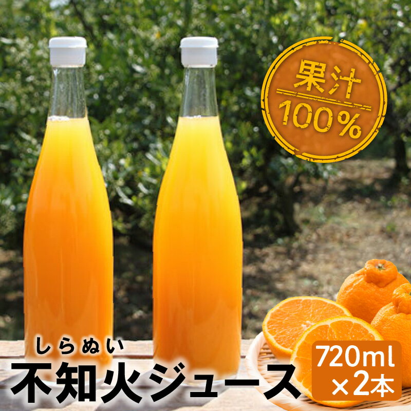 知多市産不知火ジュース 2本 / 果汁飲料 柑橘 無添加 送料無料 愛知県 特産品