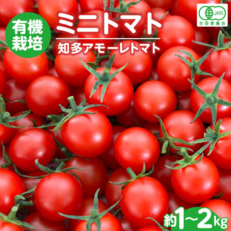 4位! 口コミ数「1件」評価「5」有機栽培 ミニトマト 知多アモーレトマト【約1kg・約2kg】トマト プチトマト甘い 有機栽培 野菜 濃い 旨味 安心 栄養 リコピン 緑黄･･･ 