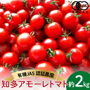 11位! 口コミ数「0件」評価「0」有機栽培ミニトマト　知多アモーレトマト　約2kg ／ 甘い 濃い 旨味 安心 栄養 送料無料 愛知県 特産品