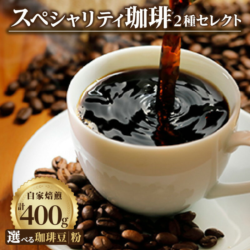 ڤդ뤵Ǽǡۡ2糧쥯ȡۥڥƥƦʴ쥯ȡƦʴӤҡƦꥫեڥƥƥޥޥǥ󥨥ԥټ̵θ