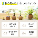 愛知県知立市の画像2