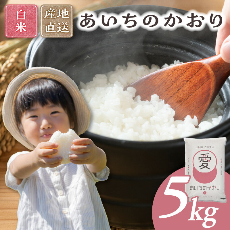 あいちのかおり(白米)5kg お米 ごはん 愛知県産 ブランド米 JA 国産米 送料無料