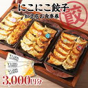 【ふるさと納税】名古屋 羽根付き にこにこ餃子知立店のご飲食券【3,000円分】 食事券 チケット 餃子 飲食 にこにこ餃子 外食チケット 家族で食事 晩御飯 居酒屋 グルメ 中華 ギフト 送料無料