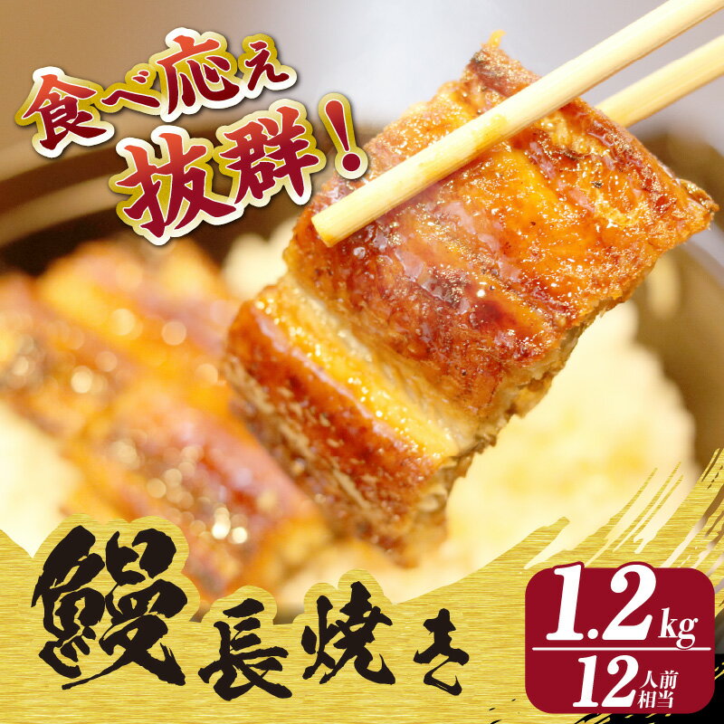 愛知県知立市の画像2