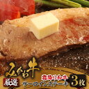 【ふるさと納税】出荷者限定みかわ牛サーロインステーキ【3枚】和牛 牛肉 ブランド牛 愛知県産 国産 ステーキ 冷凍 お取り寄せ グルメ ギフト 贈り物 送料無料