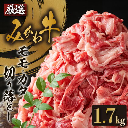 出荷者限定みかわ牛 モモ・カタ切り落とし 和牛 牛肉 ブランド牛 肉 切り落とし【1.7kg】小分け コマ切れ 和牛 牛肉 愛知県産 国産 牛丼 すき焼き 冷凍 お取り寄せ グルメ ギフト 贈り物 送料無料